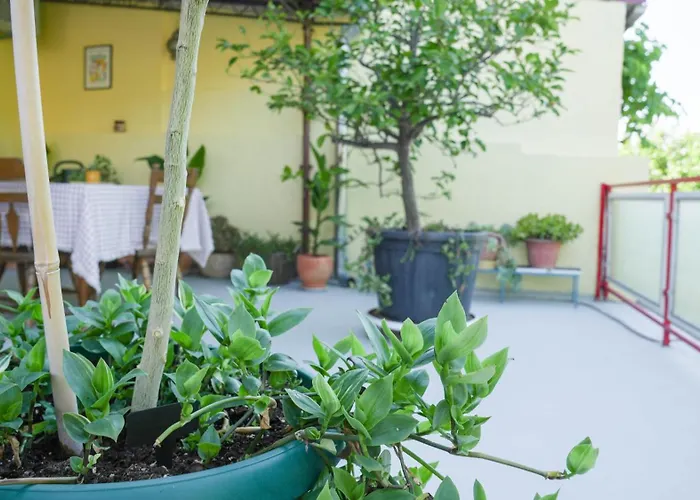 Lejlighed Seaside Motar Zaton (Sibenik-Knin)